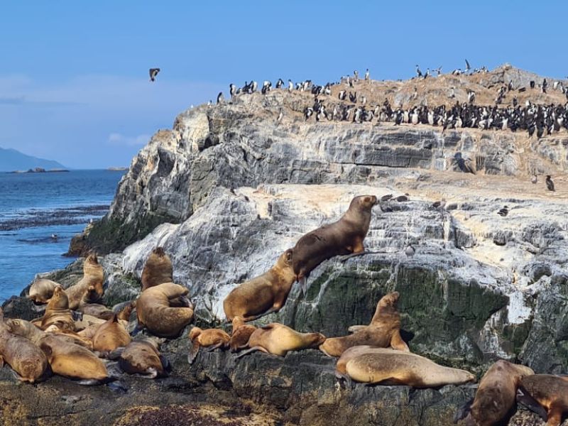 Navegación por el Canal Beagle - Imagen 4
